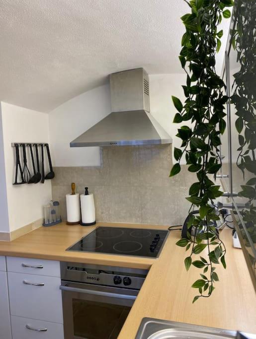 Spacious Flat In The Most Desirable Area Of 伦敦 外观 照片
